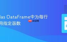 在Pandas DataFrame中为每行动态应用指定函数