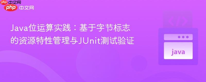 Java位运算实践：基于字节标志的资源特性管理与JUnit测试验证
