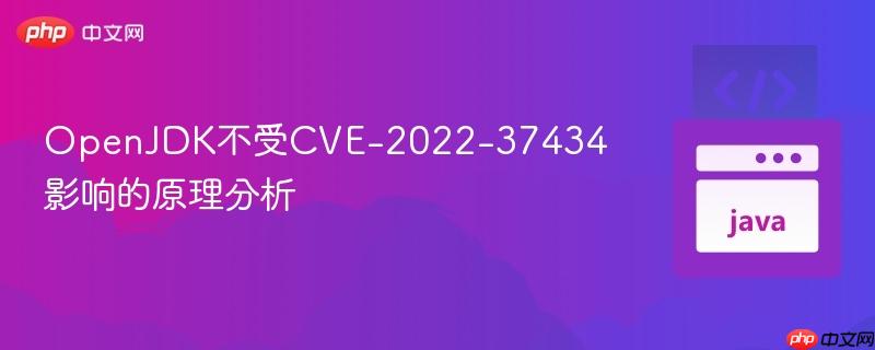 OpenJDK不受CVE-2022-37434影响的原理分析
