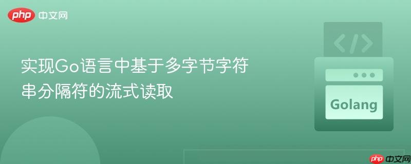 实现Go语言中基于多字节字符串分隔符的流式读取