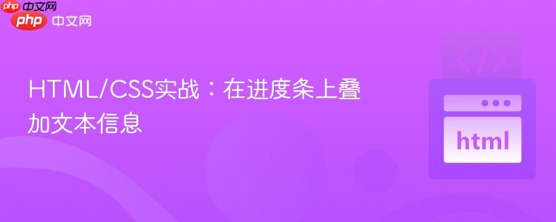 HTML/CSS实战：在进度条上叠加文本信息