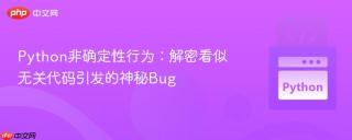 Python非确定性行为：解密看似无关代码引发的神秘Bug