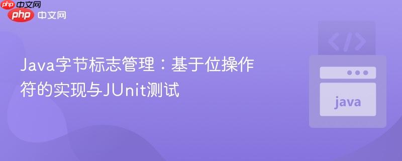 Java字节标志管理:基于位操作符的实现与JUnit测试