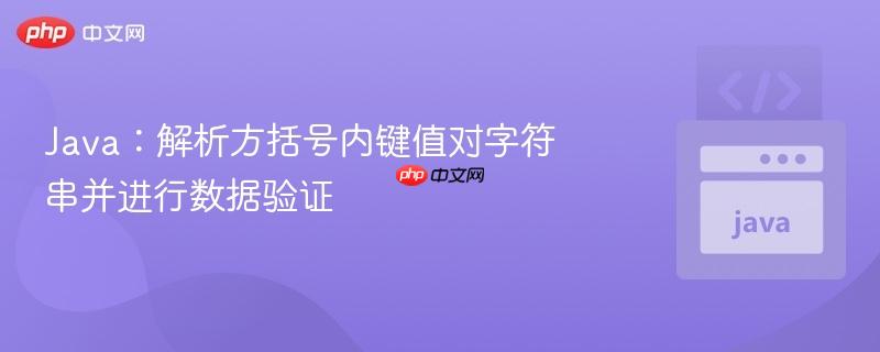 Java：解析方括号内键值对字符串并进行数据验证
