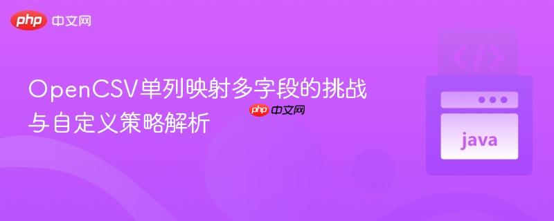 OpenCSV单列映射多字段的挑战与自定义策略解析