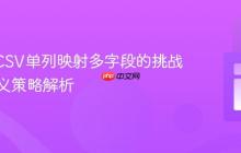 OpenCSV单列映射多字段的挑战与自定义策略解析