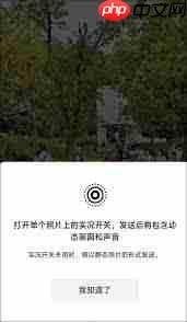 微信聊天如何发live图