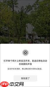 微信聊天如何发live图