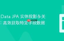 Spring Data JPA 实体投影与关联查询：高效获取特定字段数据