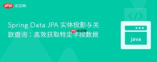 Spring Data JPA 实体投影与关联查询：高效获取特定字段数据