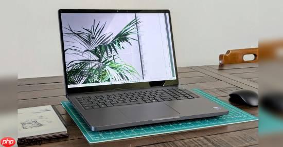 NVIDIA次旗舰专业显卡首测:搭配128GB CAMM2内存