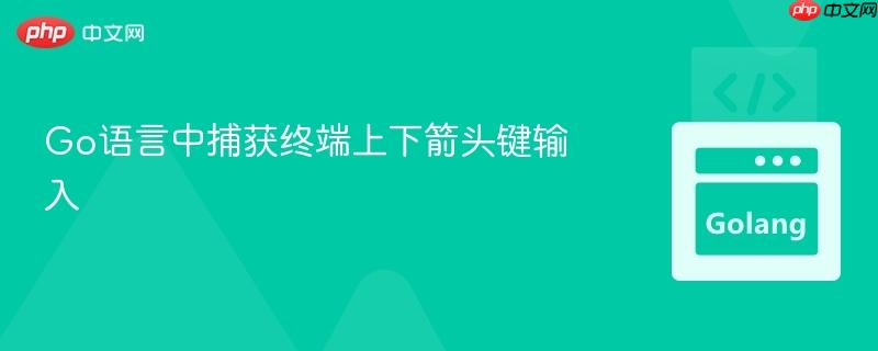 Go语言中捕获终端上下箭头键输入