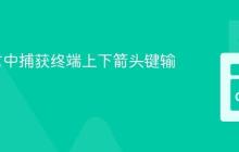 Go语言中捕获终端上下箭头键输入
