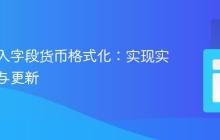 动态输入字段货币格式化：实现实时显示与更新
