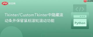 Tkinter/CustomTkinter中隐藏滚动条并保留鼠标滚轮滚动功能