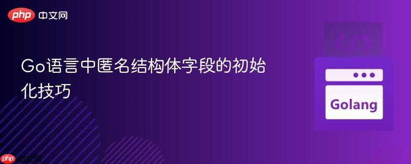 Go语言中匿名结构体字段的初始化技巧