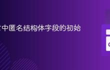 Go语言中匿名结构体字段的初始化技巧