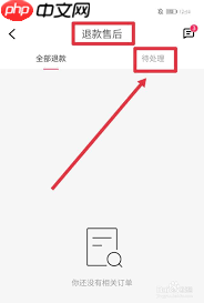 快手极速版如何查买东西的订单