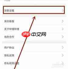 哔哩哔哩怎么开启暗色模式