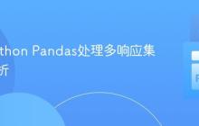 使用Python Pandas处理多响应集交叉分析