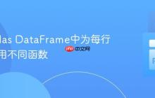 在Pandas DataFrame中为每行动态应用不同函数