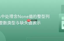Pandas中处理含None值的整型列：保持整数类型与缺失值表示