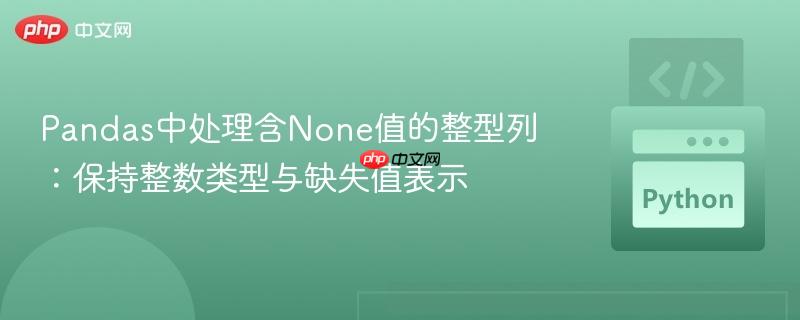 Pandas中处理含None值的整型列：保持整数类型与缺失值表示