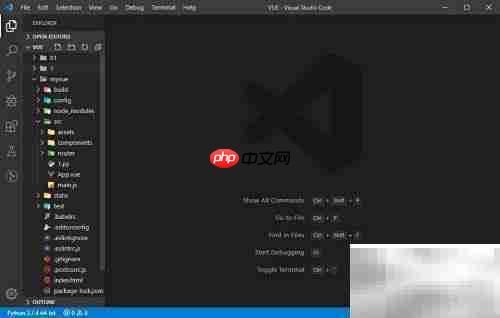 VS Code如何设置中文界面