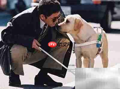 美国养狗证上的9条须知