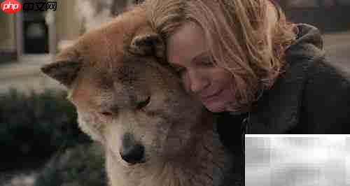 美国养狗证上的9条须知