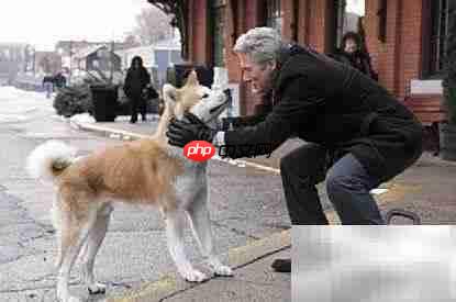 美国养狗证上的9条须知