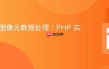WebP 图像元数据处理：PHP 实现方案