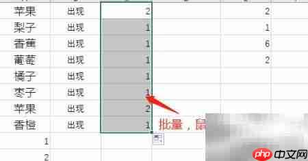 Excel统计次数技巧