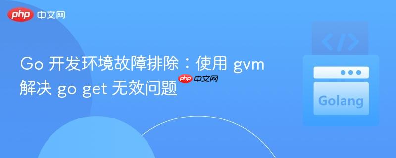 Go 开发环境故障排除：使用 gvm 解决 go get 无效问题