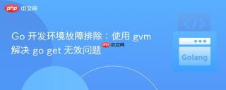 Go 开发环境故障排除：使用 gvm 解决 go get 无效问题