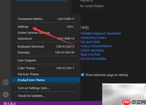 VS Code关闭渲染角色方法