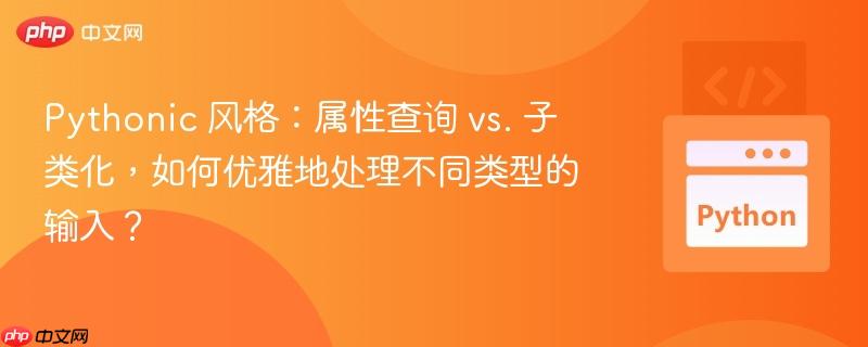 Pythonic 风格：属性查询 vs. 子类化，如何优雅地处理不同类型的输入？