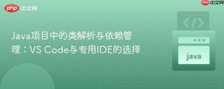 Java项目中的类解析与依赖管理：VS Code与专用IDE的选择
