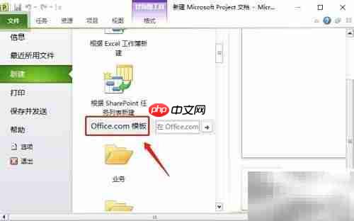 项目导入模板的简便方法