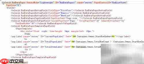 RadDataPager分页控件使用指南