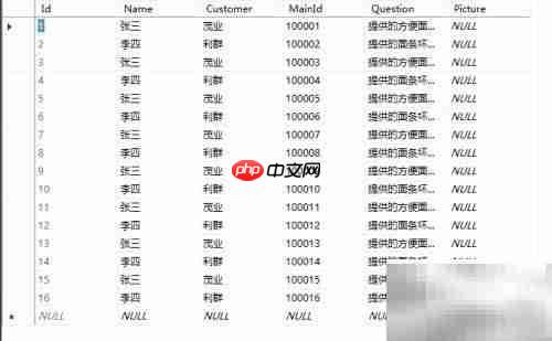 raddatapager分页控件使用指南