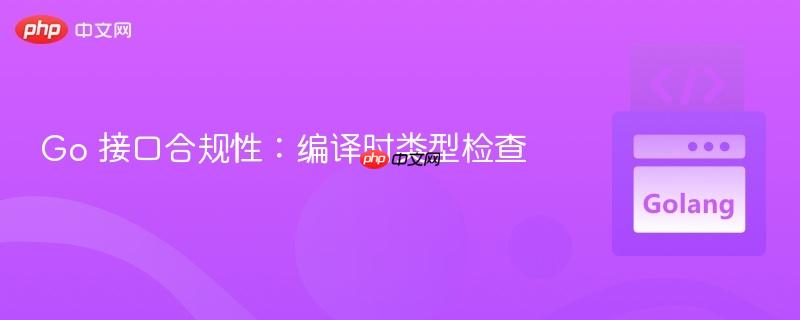 go 接口合规性:编译时类型检查