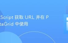 从 JavaScript 获取 URL 并在 PHP DataGrid 中使用