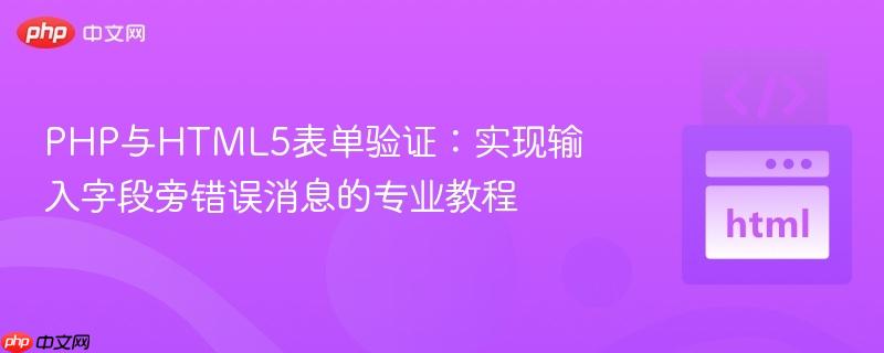 PHP与HTML5表单验证:实现输入字段旁错误消息的专业教程