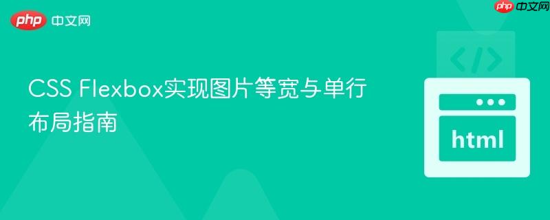 CSS Flexbox实现图片等宽与单行布局指南