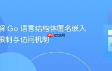 深入理解 Go 语言结构体匿名嵌入字段的限制与访问机制