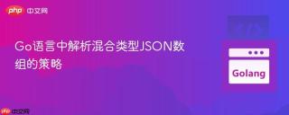Go语言中解析混合类型JSON数组的策略