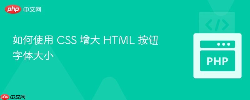 如何使用 css 增大 html 按钮字体大小