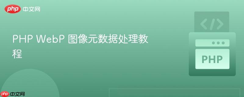 PHP WebP 图像元数据处理教程