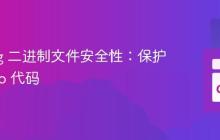 Golang 二进制文件安全性：保护你的 Go 代码